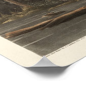 アメリカの鳥のルイジアナ・ヘロン ポスター (角)