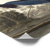 アメリカの鳥のルイジアナ・ヘロン ポスター (角)