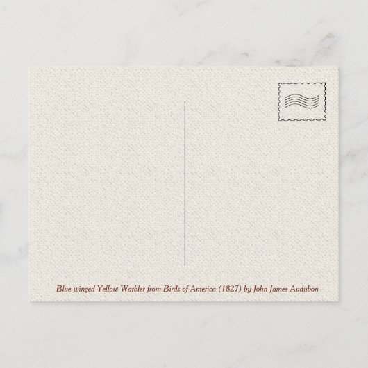 アメリカの鳥の翼を持つ黄色い鶯 ポストカード (裏面)