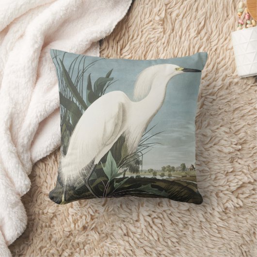 アメリカの鳥の雪のヘロンまたは白いエグレ クッション (ブランケット)