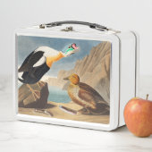 アメリカの鳥類から来たエイダー・アヒル王(Audubon) メタルランチボックス (インサイチュ)