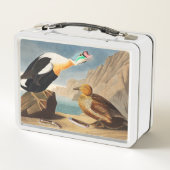 アメリカの鳥類から来たエイダー・アヒル王(Audubon) メタルランチボックス (裏面)