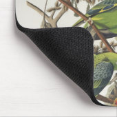 「アメリカの鳥」からのカロライナインコ、1829年 マウスパッド (コーナー)