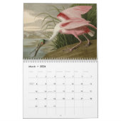 アメリカの鳥 カレンダー (3月 2026)