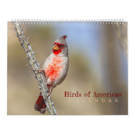 アメリカの鳥 カレンダー