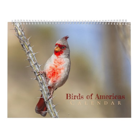アメリカの鳥 カレンダー (カバー)