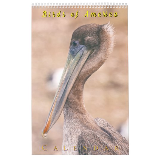 アメリカの鳥 カレンダー (カバー)