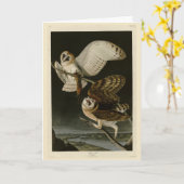 アメリカの鳥 カード (黄色い花)