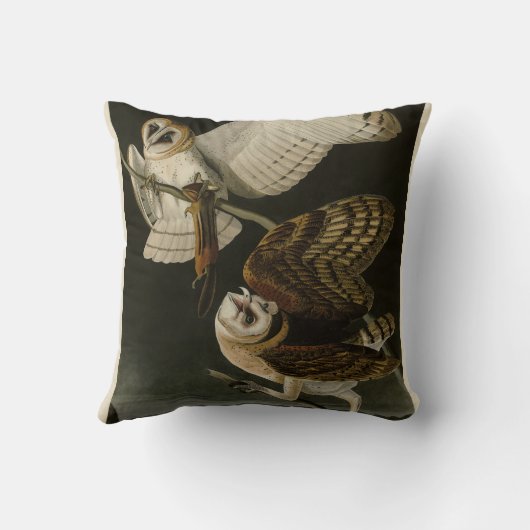 アメリカの鳥 クッション (裏面)