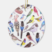 アメリカの鳥 – ペットと野鳥 セラミックオーナメント (左)