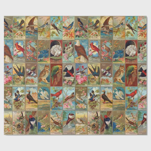 アメリカの19世紀な鳥 ラッピングペーパー (フラット)