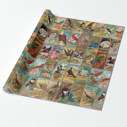 アメリカの19世紀な鳥 ラッピングペーパー (アンロールド)