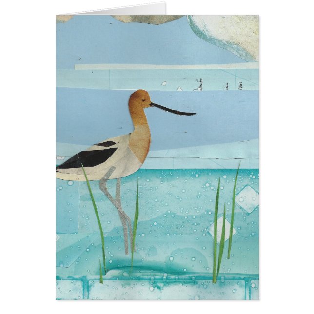 アメリカのAvocet (正面)