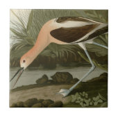 アメリカのAvocet タイル (正面)