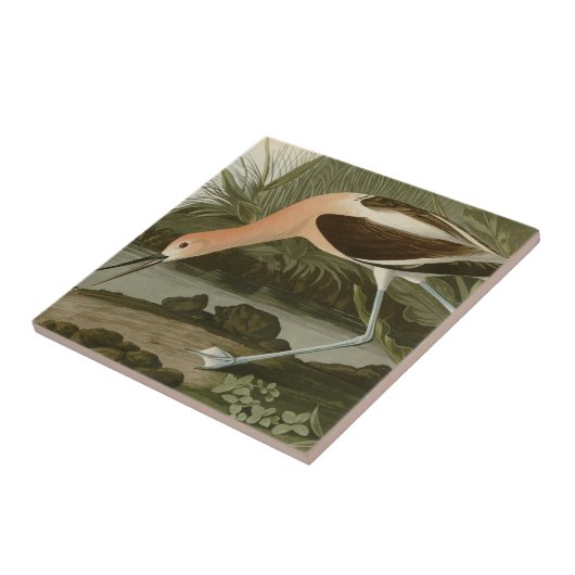 アメリカのAvocet タイル (側面)