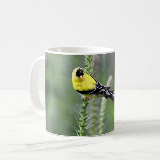 アメリカのGoldfinch コーヒーマグカップ (正面左)
