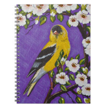 アメリカのGoldfinch