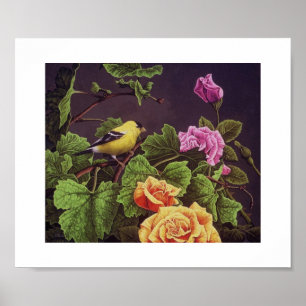アメリカのGoldfinch ポスター