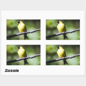 アメリカのGoldfinch Bird Rectangleステッカー 長方形シール (シート)