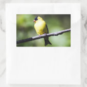 アメリカのGoldfinch Bird Rectangleステッカー 長方形シール (バッグ)