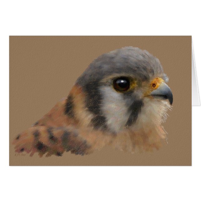 アメリカのKestrel (正面横)