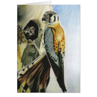 "アメリカのKestrel"カード