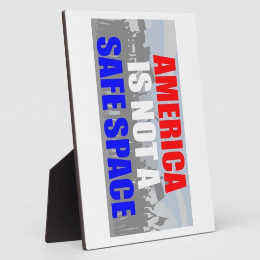 アメリカは安全な宇宙ではない フォトプラーク (側面)