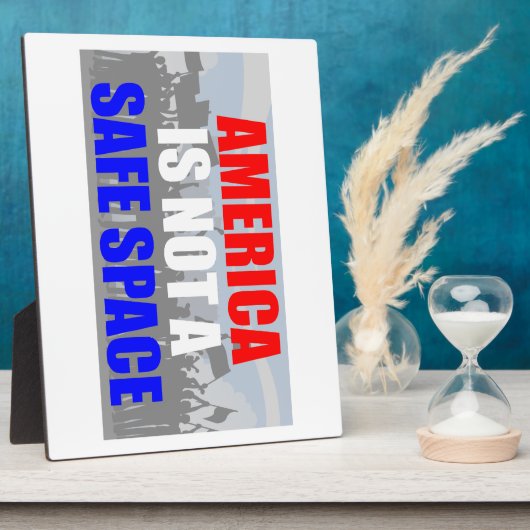 アメリカは安全な宇宙ではない フォトプラーク (側面)