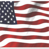 アメリカは現在、アメリカがアメリカに拒否権を持っている シール (正面)