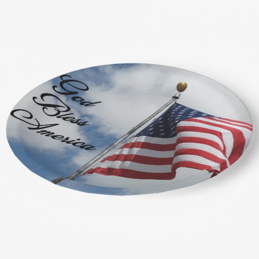 アメリカを祝福して下さい！ ペーパープレート (アングル)