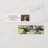 アメリカアイコンAPBT愛 スキニー名刺 (正面/裏面)