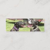 アメリカアイコンAPBT愛 スキニー名刺 (裏面)