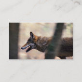 アメリカアカオオカミ 名刺 (裏面)