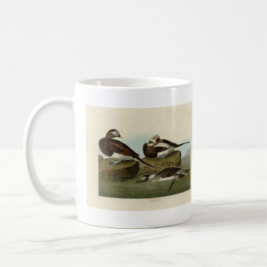 アメリカアカガモ - オードュボンの『アメリカの鳥類』より コーヒーマグカップ (左)