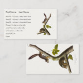 アメリカアカリス（リチャードソンのコロンブス） 名刺 (正面/裏面)