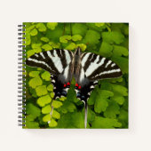 アメリカアゲハチョウ蝶 ノートブック (正面)