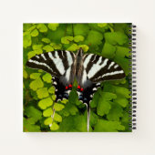 アメリカアゲハチョウ蝶 ノートブック (裏面)