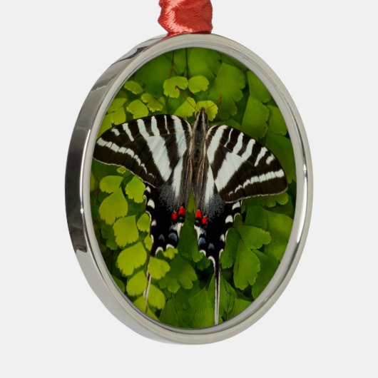アメリカアゲハチョウ蝶 メタルオーナメント (右)