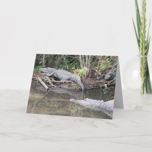 アメリカアリゲーターグリーティングカード シーズンカード (正面)