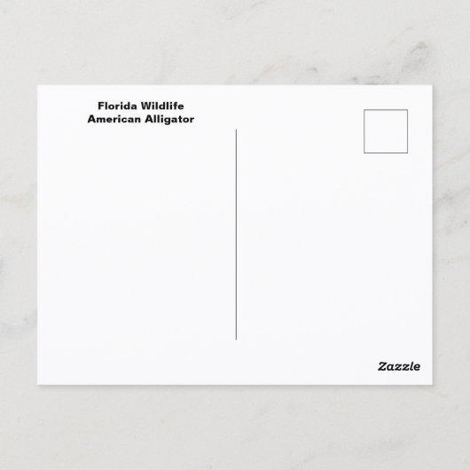 アメリカアリゲーターフロリダエバーグレーズワイルドライフ ポストカード (裏面)