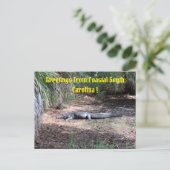 アメリカアリゲーターポストカード ポストカード (スタンド正面)