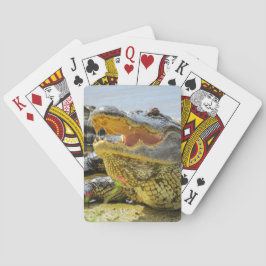 アメリカアリゲーターポートレート-顔から顔 トランプ