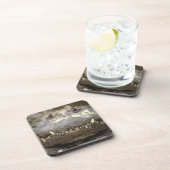 アメリカアリゲーター コースター (右側)