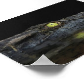 アメリカアリゲーター ポスター (角)