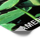 アメリカアリゲーター ポスター (角)