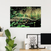 アメリカアリゲーター ポスター (ホームオフィス)