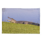 アメリカアリゲーター 枕カバー (裏面-左)