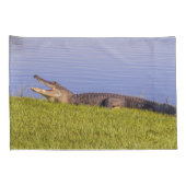 アメリカアリゲーター 枕カバー (裏面-右)