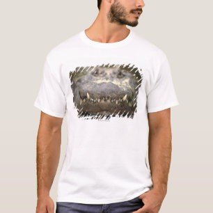 アメリカアリゲーター Tシャツ