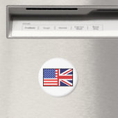 アメリカイギリス マグネット (インサイチュ (食洗機))